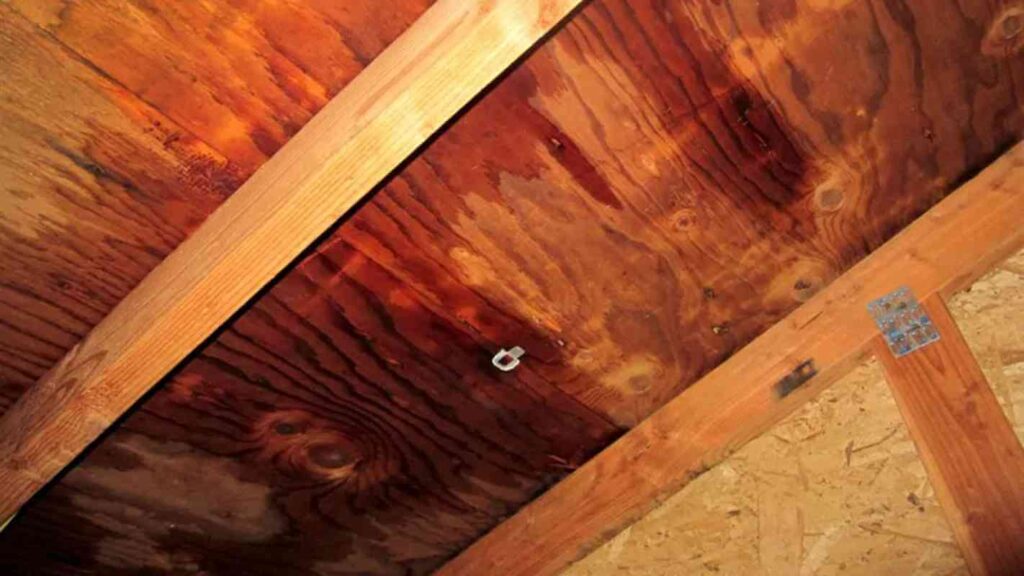 Attic Roof Leak Every March in New Jersey, a predictable pattern plays out. Homeowners start noticing a faint yellowish ring on the ceiling near the exterior wall. Or they find paint bubbling on the inside of a second-floor bedroom. Or they go into the attic for the first time since November and find the insulation matted down and stained dark near the eaves.