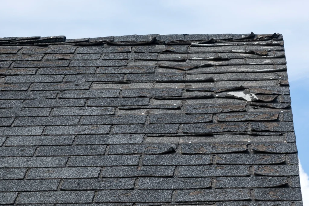 Lifted, Cracked, or Granule-Bare Shingles