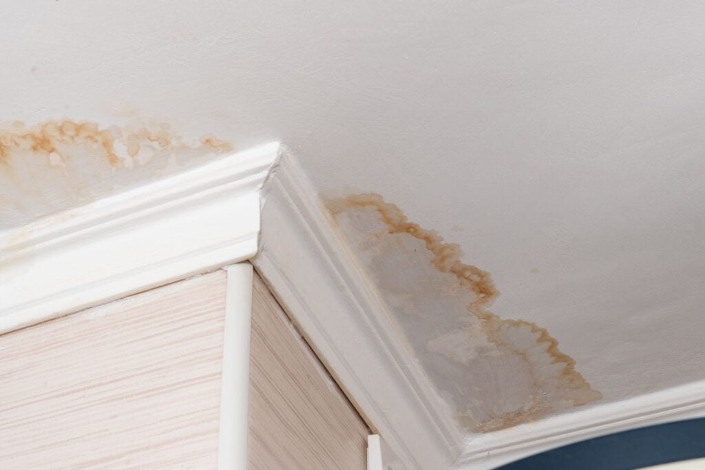 Water Stains on Ceilings